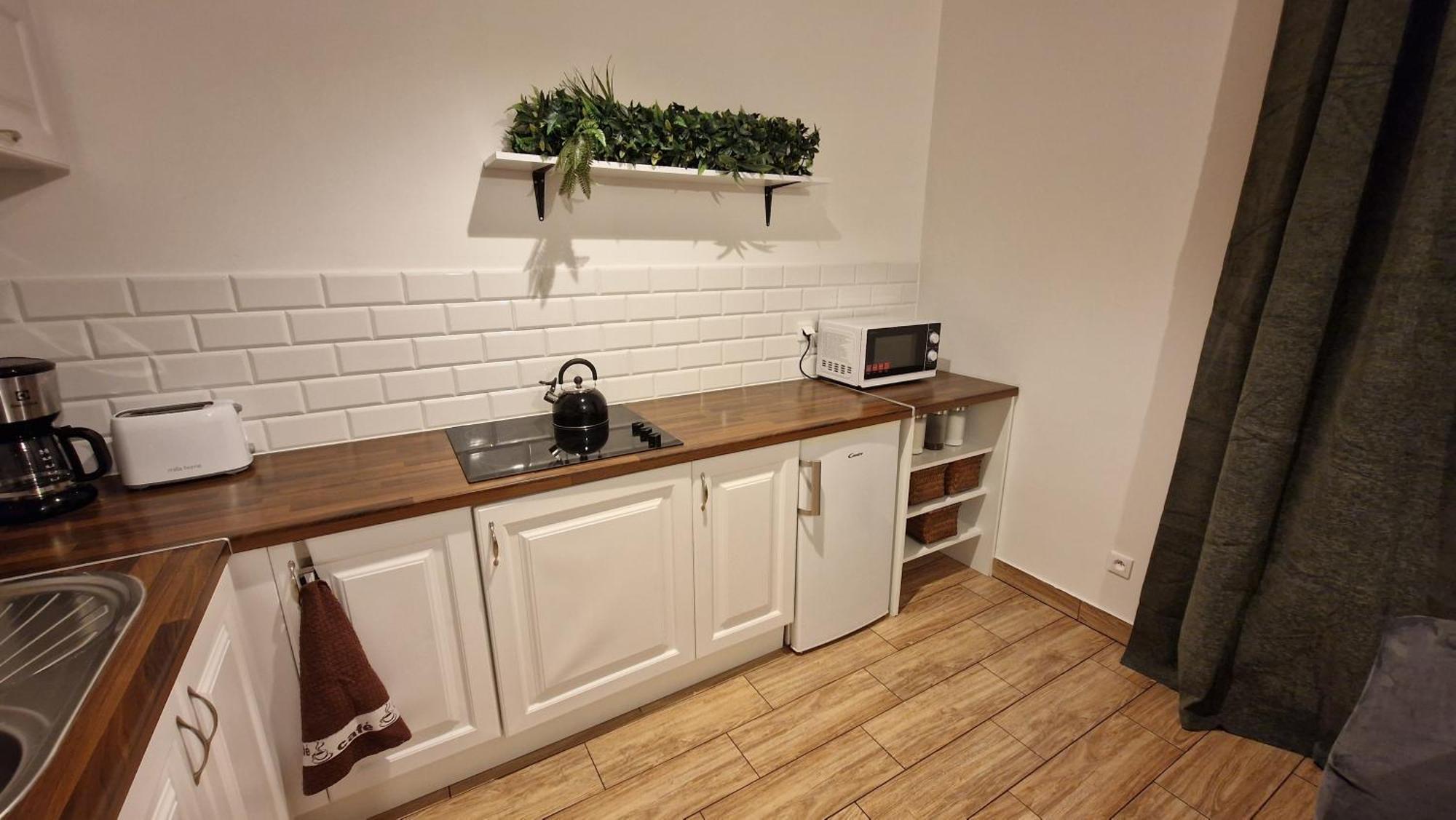 Monia Apartment Świeradów-Zdrój 외부 사진